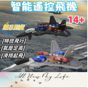 遙控特技飛機 遙控戰鬥機 遙控無人機 遙控滑翔機