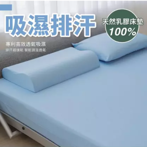 天然乳膠床墊10cm 吸濕排汗經典款