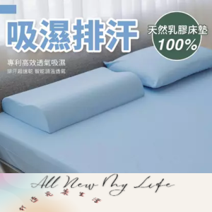 天然乳膠床墊10cm 吸濕排汗經典款