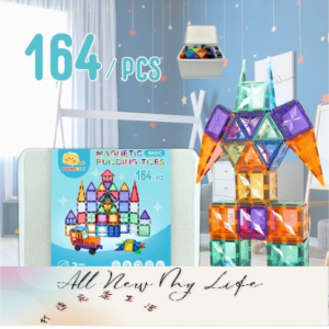收納盒版雪鑽磁力片164片 磁力建構片 積木